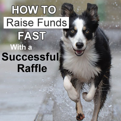 How to Raise Funds FAST with a Successful Raffle