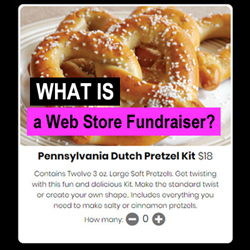 What Is a Web Store Fundraiser?
