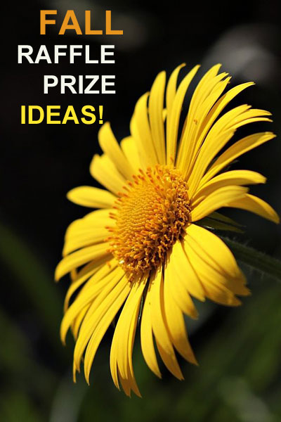 Fall Raffle Prize Ideas