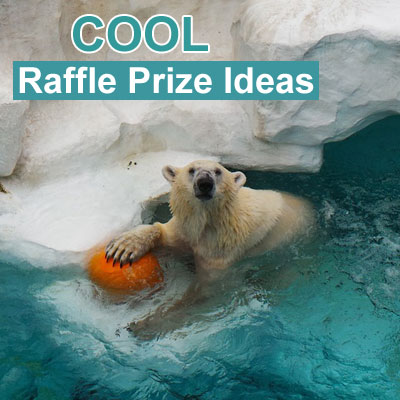 Cool Raffle Prize Ideas