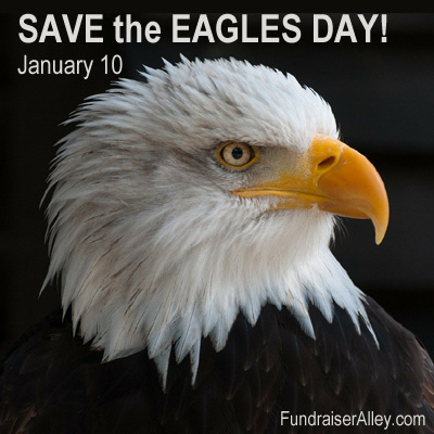 National Save the Eagles Day Fundraising Ideas, January 10