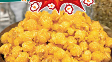Popcorn Brochure Fundraiser