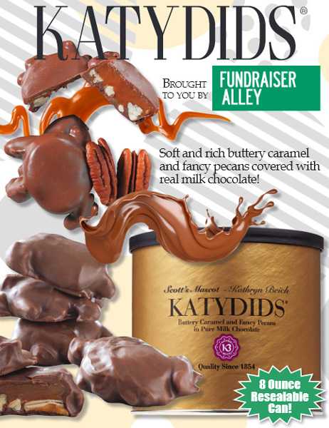 Katydids Online Fundraising Brochure